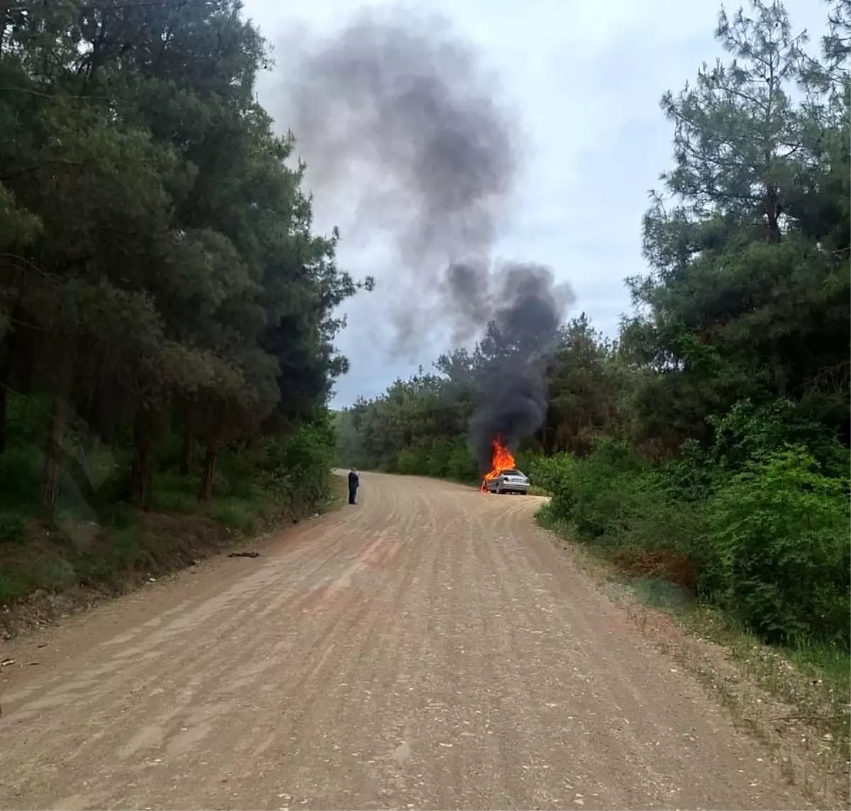 Tokat'ta Araç Yangını: Otomobil Kullanılamaz Hale Geldi