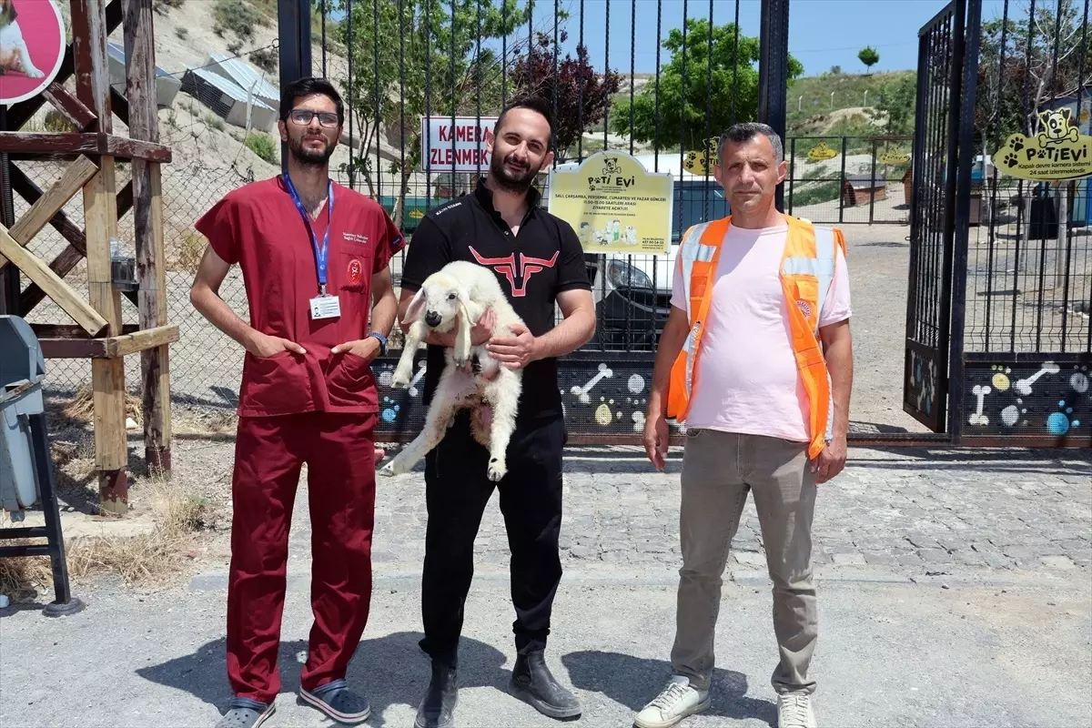 Kayseri