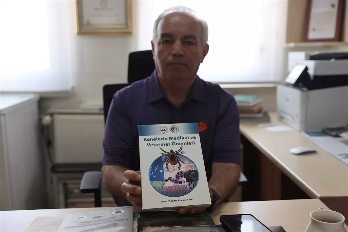 Kenelerle İlgili Yanlış Bilgilere Dikkat!
