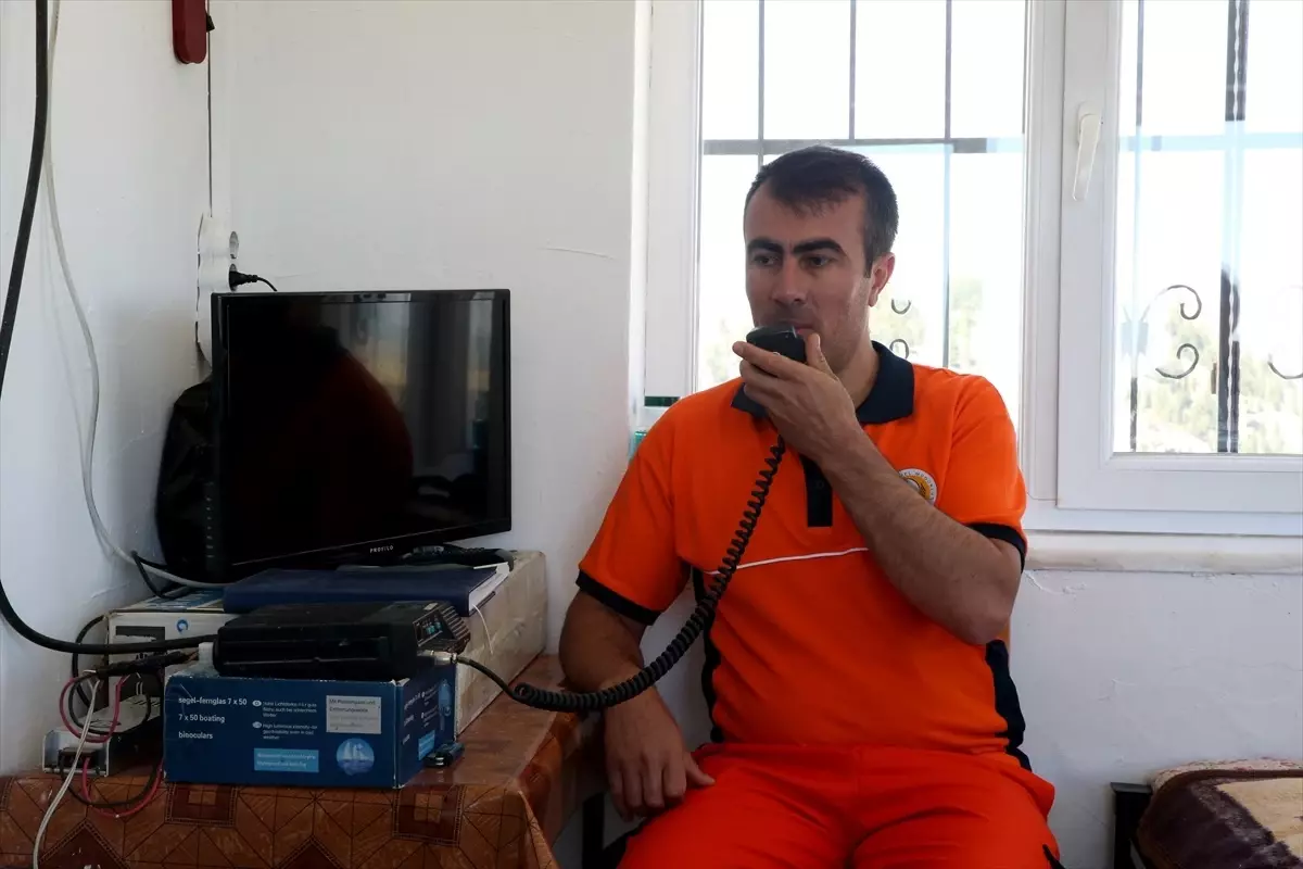 Ormanları Koruyan Kahramanlar
