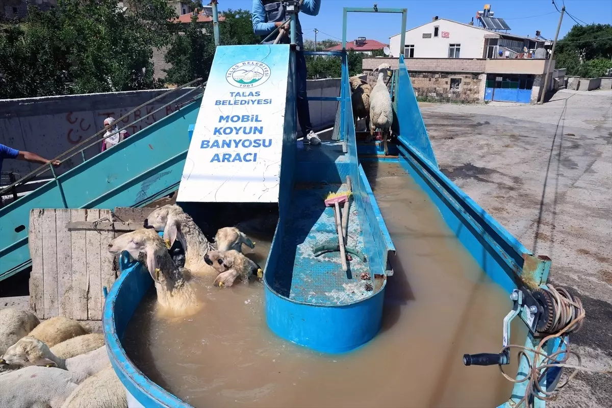 Kayseri'de Mobil Koyun Banyosu Uygulaması