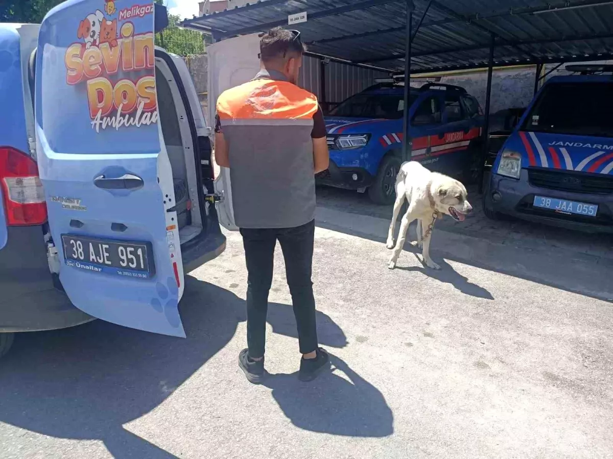 Köpeği Otomobile Bağlayarak Çektiren Kişiye 10 Bin TL Ceza