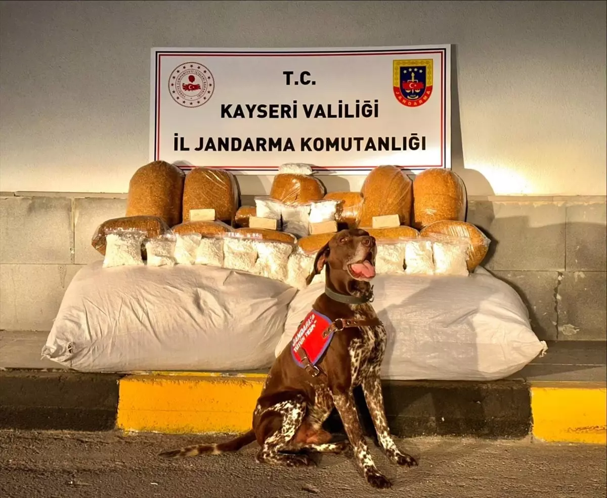 Kayseri'de Otobüste 450 Kilogram Kaçak Tütün Yakalandı