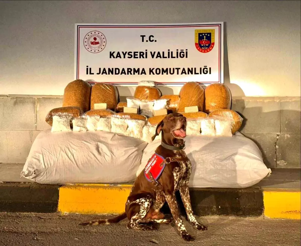 Kayseri'de Bandrolsüz 450 kg Tütün Ele Geçirildi