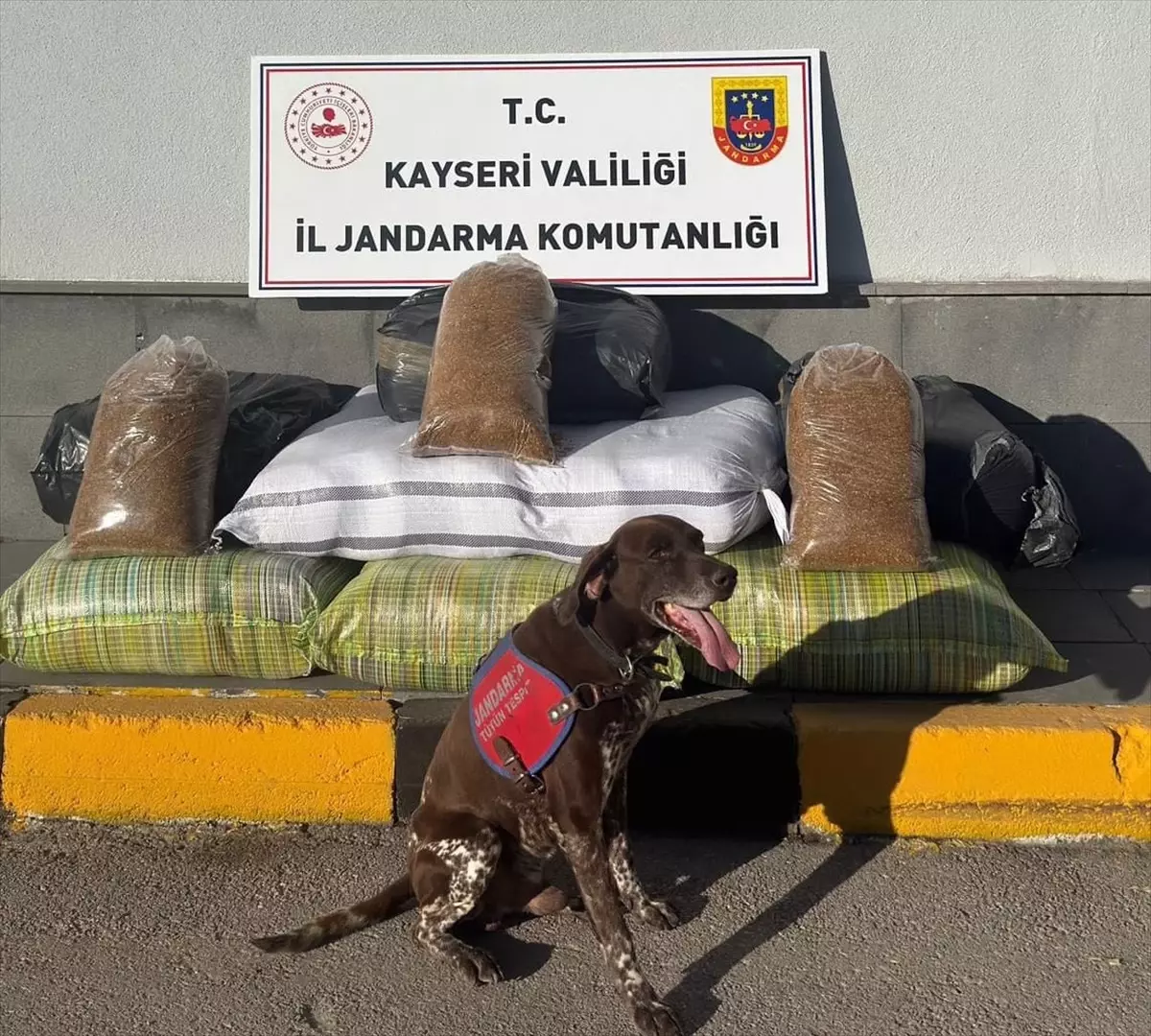 Kayseri'de Otobüste 230 kg Kaçak Tütün Ele Geçirildi
