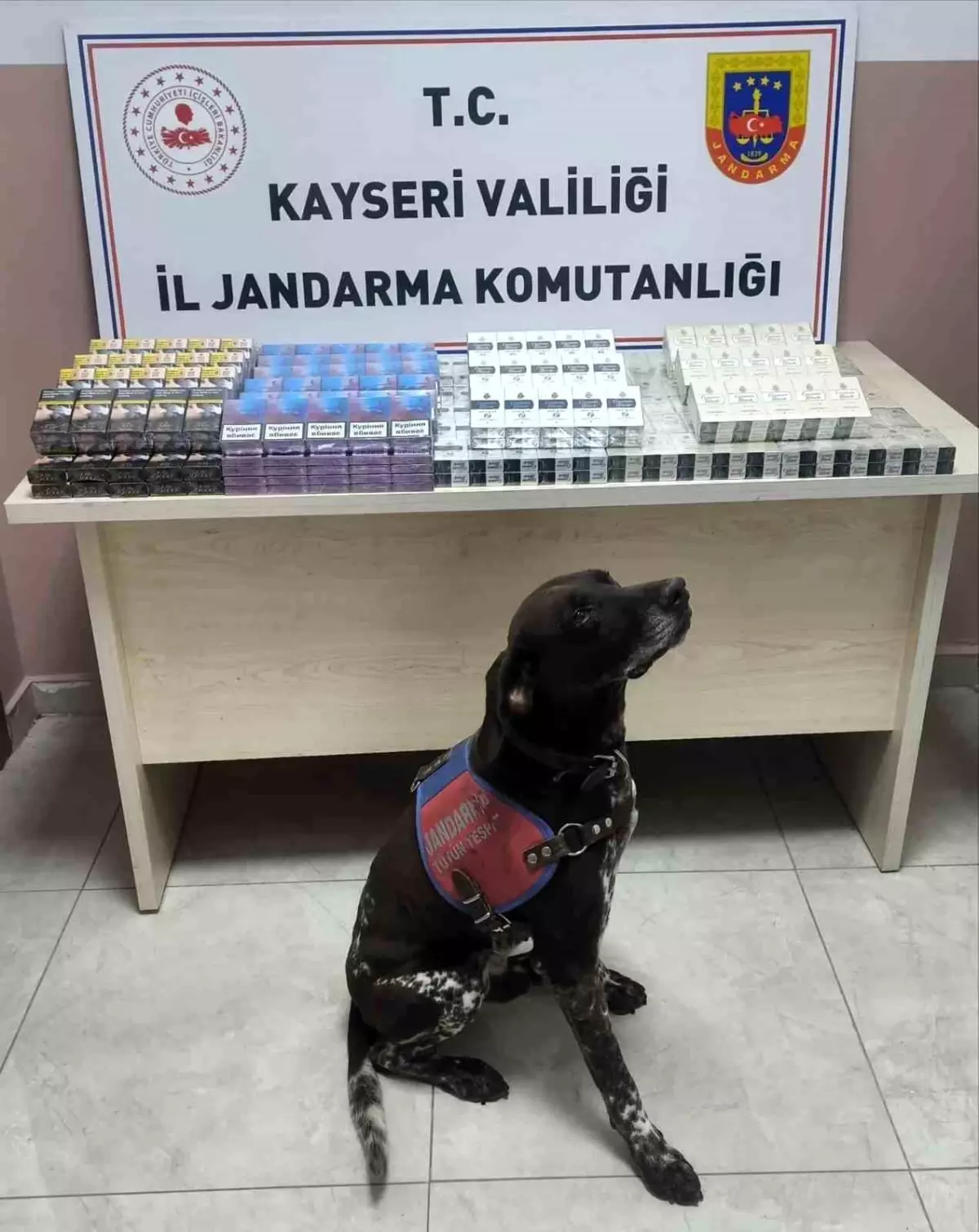 Kayseri'de 560 Paket Kaçak Sigara Ele Geçirildi