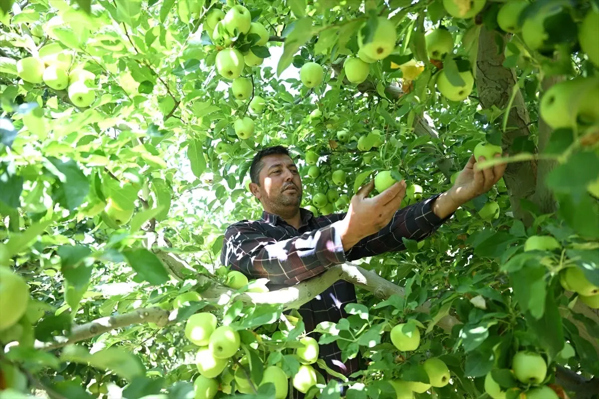 Kayseri'de Don Tehdidine Karşı 'Spring Su Uygulaması'