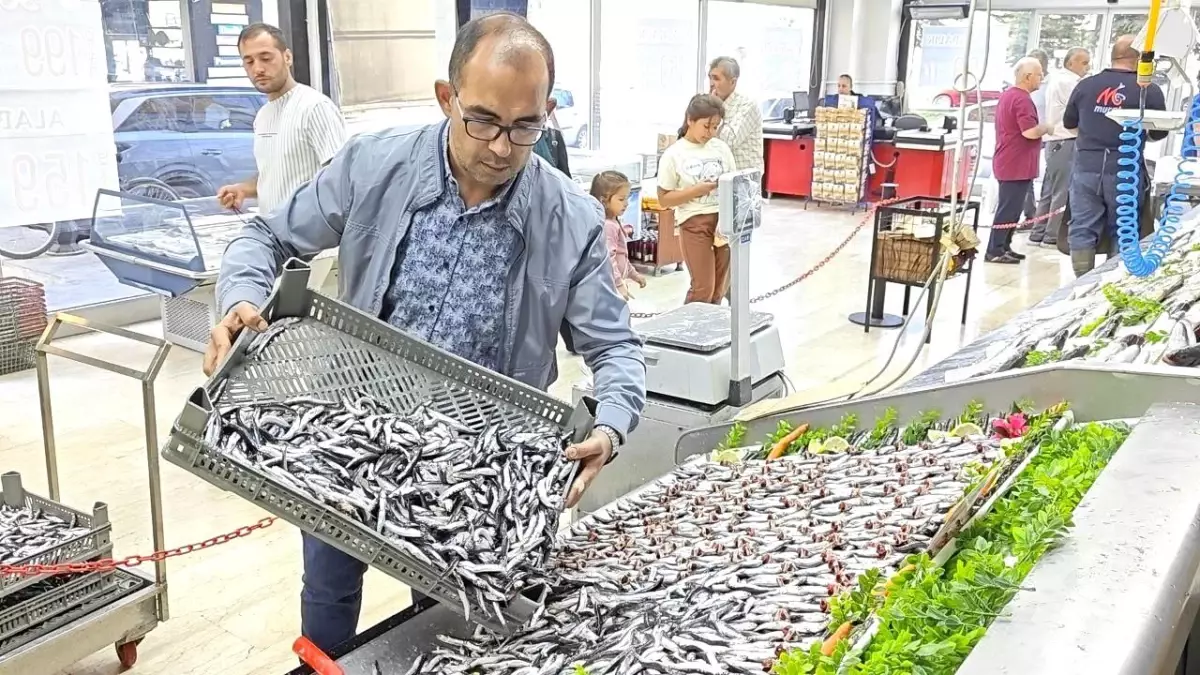 Balık Sezonu Kayseri'de Açıldı