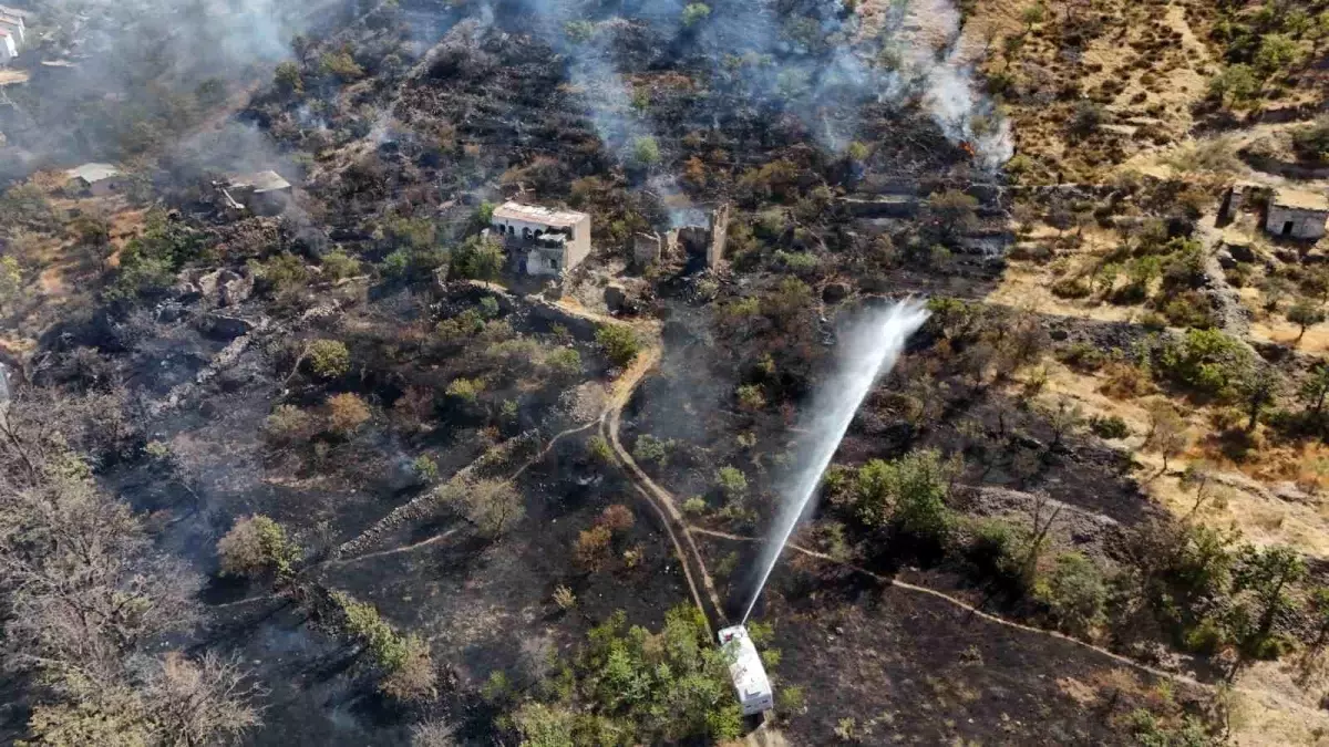 Patlıcan Közlerken Ormanı Yaktı