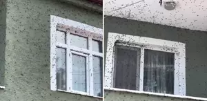 Kayseri'de bazı sivil toplum kuruluşları Gazze için toplandı