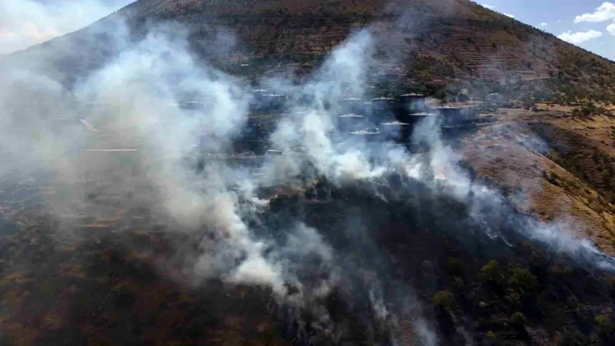 Kayseri'de Orman Yangını Çıktı