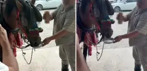 Hacılar Meclisi'nde Önemli Gelişmeler