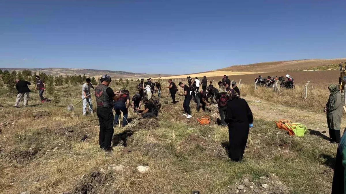 Kayseri'de 1500 Fidan Dikimi ile Yeşil Gelecek Hedefleniyor