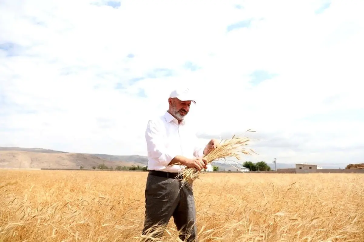 Kocasinan Belediyesi'nden Ata Tohumları Eğitimi