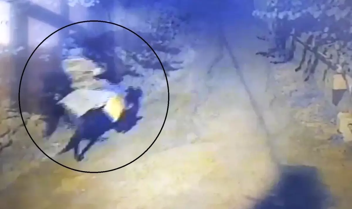 Atla geldi, yaşlı çifti öldürüp kaçtı