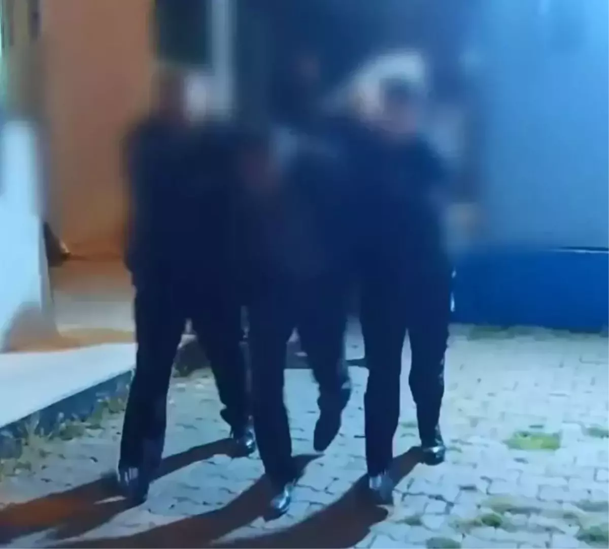 Yılkı atlarını fotoğrafını çekmek isterken kırbaçlı saldırıya uğradılar