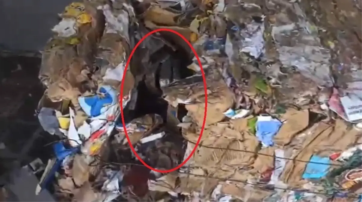 Kayseri'de Kaçak Sigara Ele Geçirildi