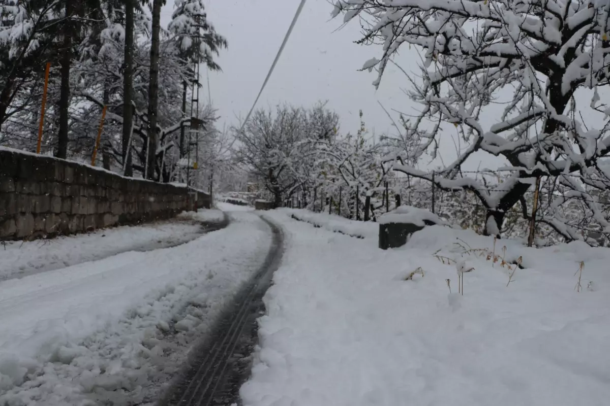 Kayseri'de Kar Yağışı