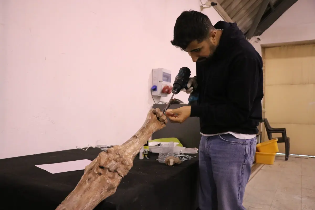 Kayseri'de 7,5 Milyon Yıllık Fosiller 3D Yazıcı ile Canlandırılıyor