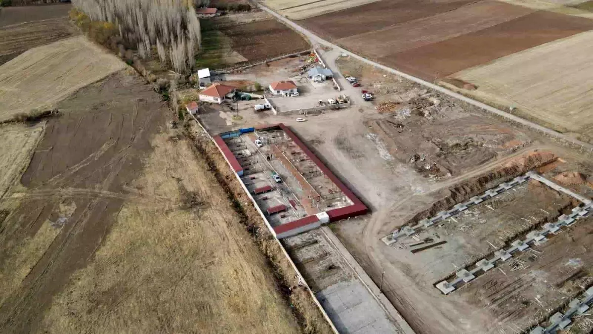 Bünyan'da Sokak Hayvanları için Doğal Yaşam Alanı Açıldı