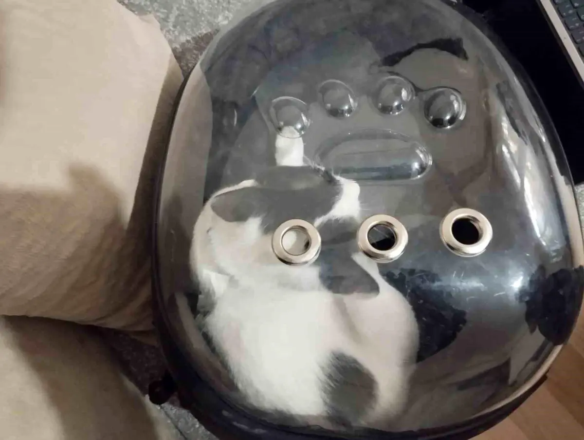 Kayseri İtfaiyesi, Havalandırma Boşluğuna Düşen Tofu'yu Kurtardı