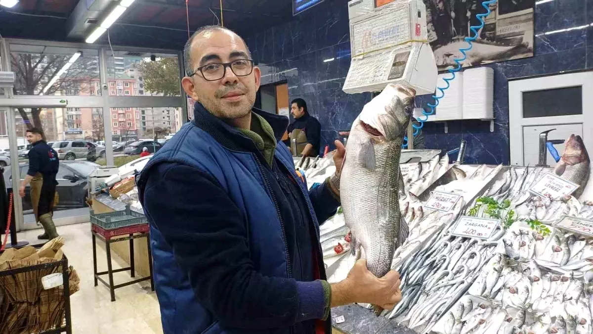 Kayseri'de Hamsi Bolluğu: Palamut Azaldı