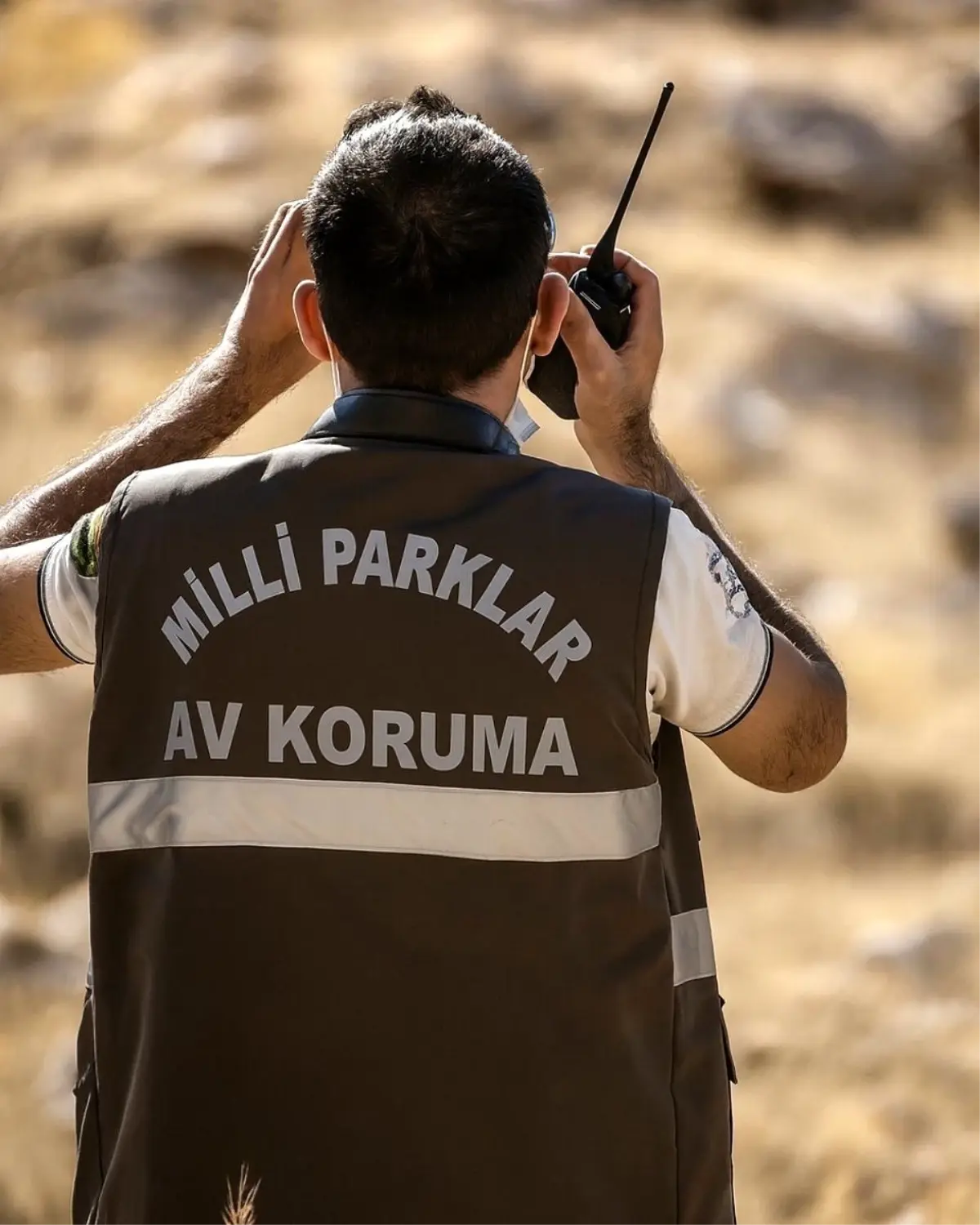 Koruma Altındaki Yaban Keçisi Avcısına Rekor Ceza