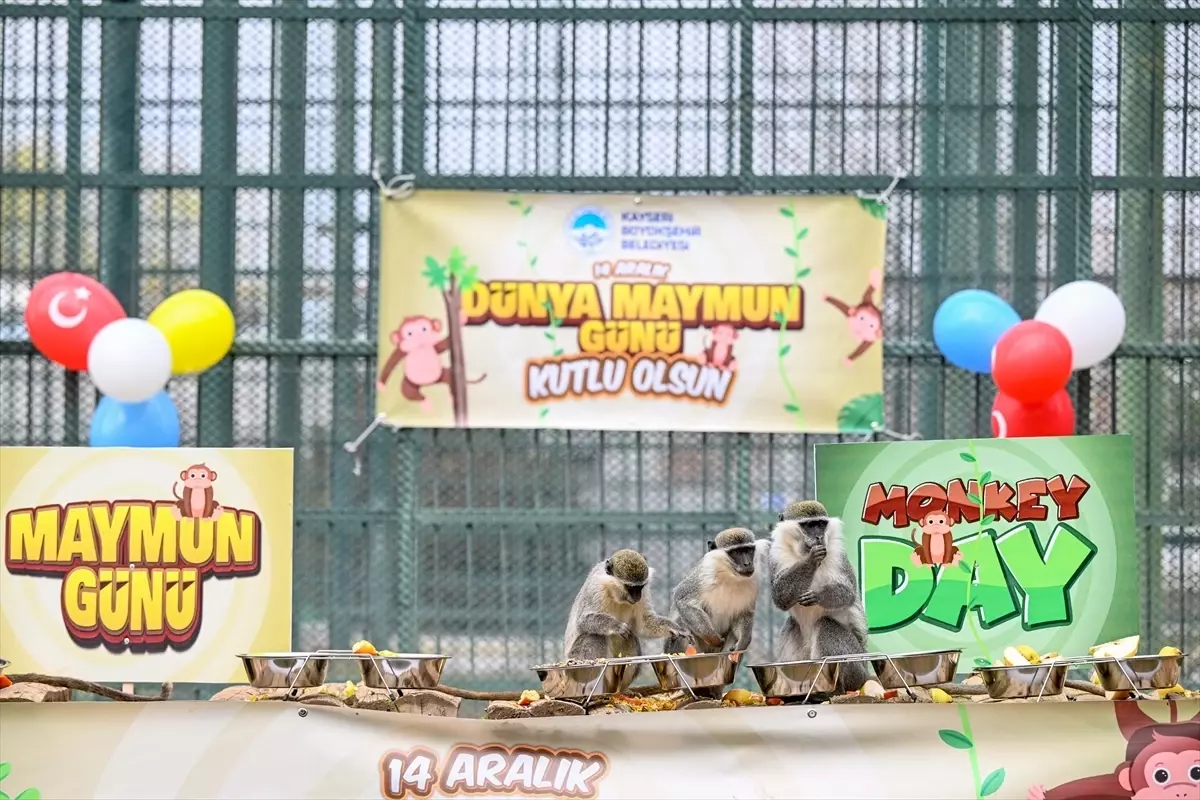 Kayseri'de Maymunlara Muz Ziyafeti