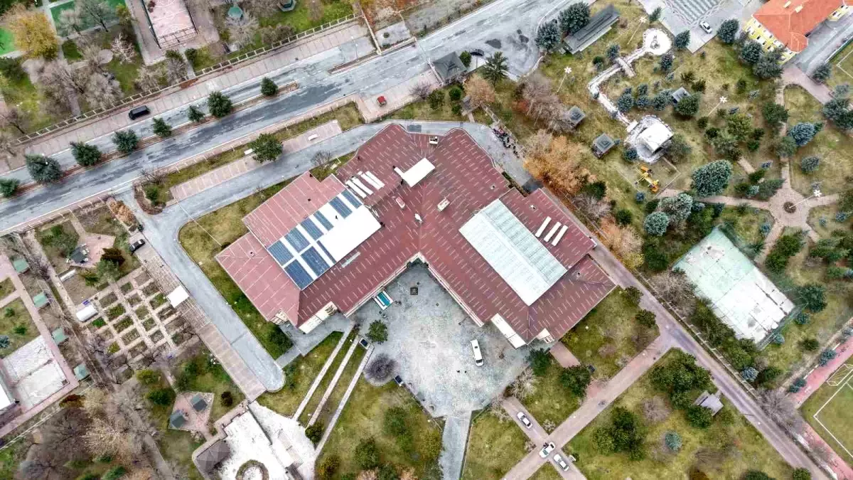 Ulu çınarların yuvası yenileniyor