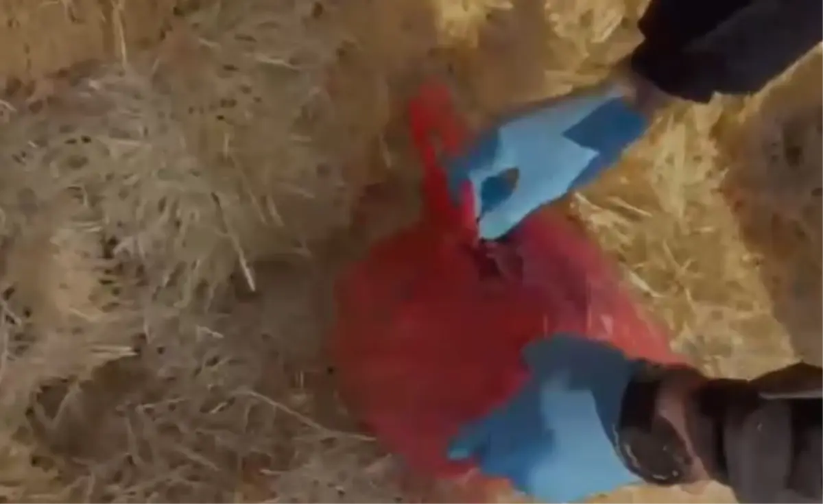 Kayseri'de Uyuşturucu Operasyonu: 1,4 kg Ele Geçirildi