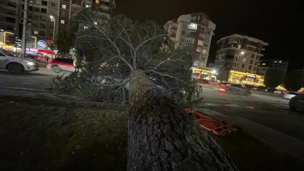 Kayseri'de Fırtına, Park Halindeki Araca Ağaç Devrildi
