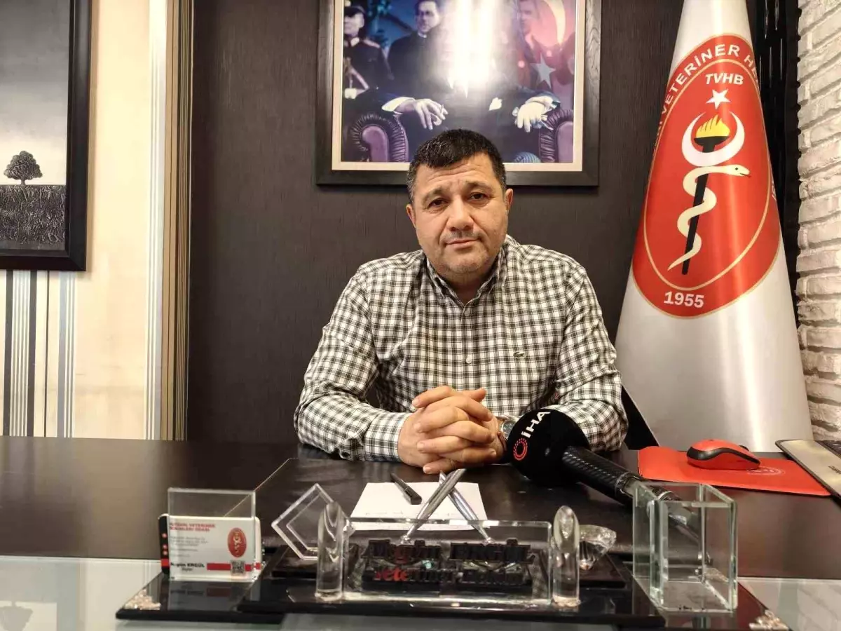 Kışın Evcil Hayvanların Tüy Dökmesi Normaldir