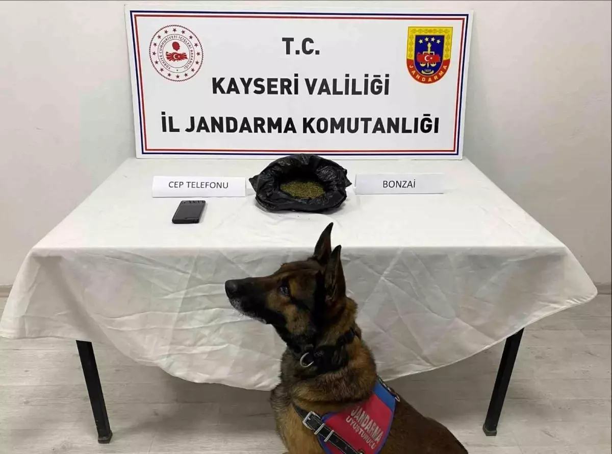 Kayseri'de 515 Gram Uyuşturucu Ele Geçirildi