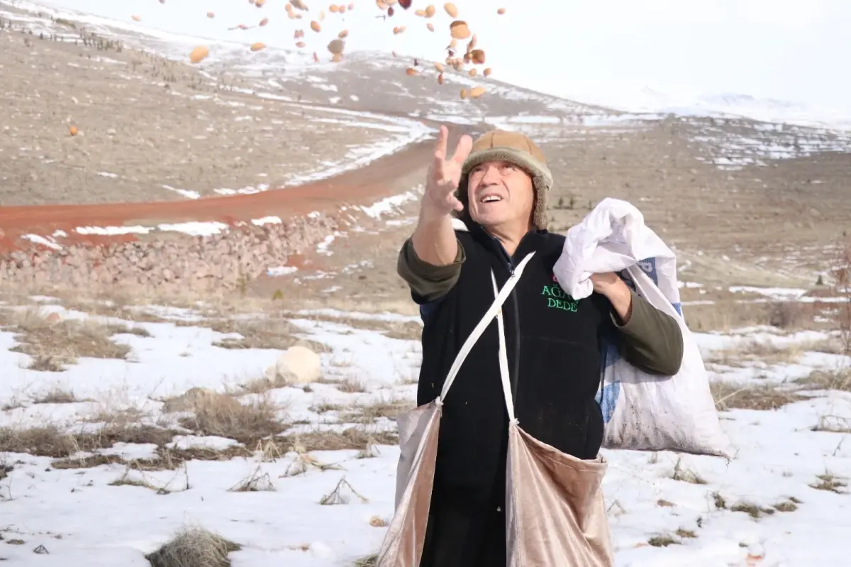 Kayseri'nin 'Ağaç Dede'si 1 milyondan fazla fidanı toprakla buluşturdu