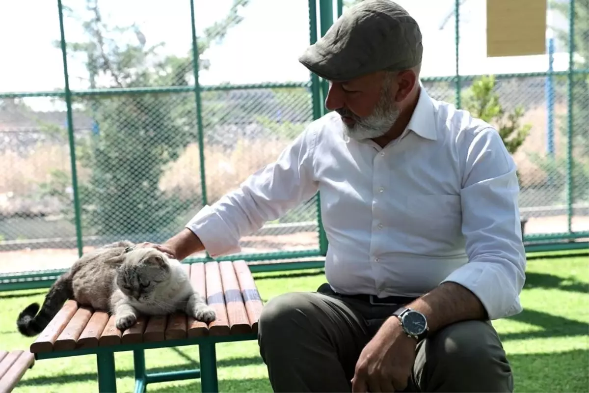 Kayseri'de ilk ve tek küçük dostları Kedi Kasabası, ziyaretçi rekoru kırıyor