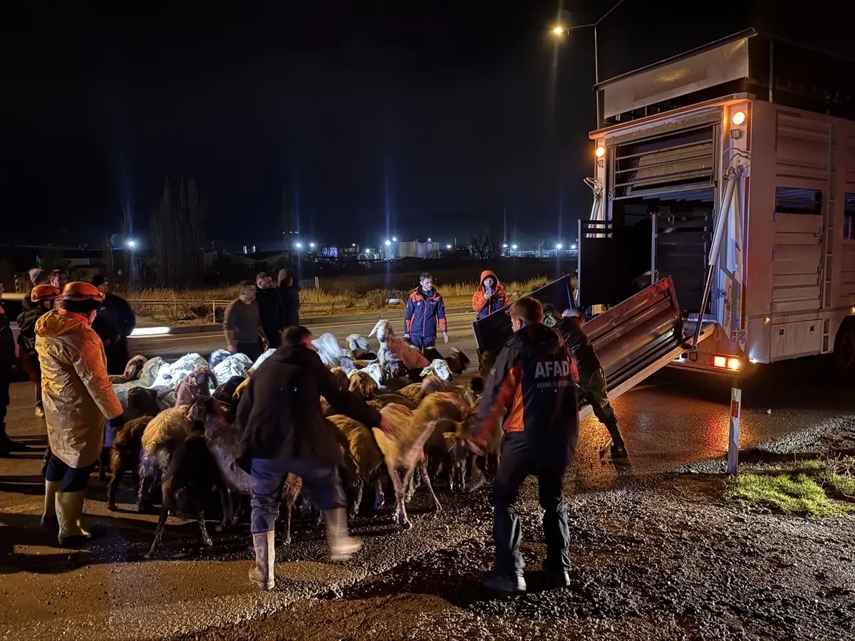 Kayseri'de Taşkın Riski: 200 Hayvan Tahliye Edildi