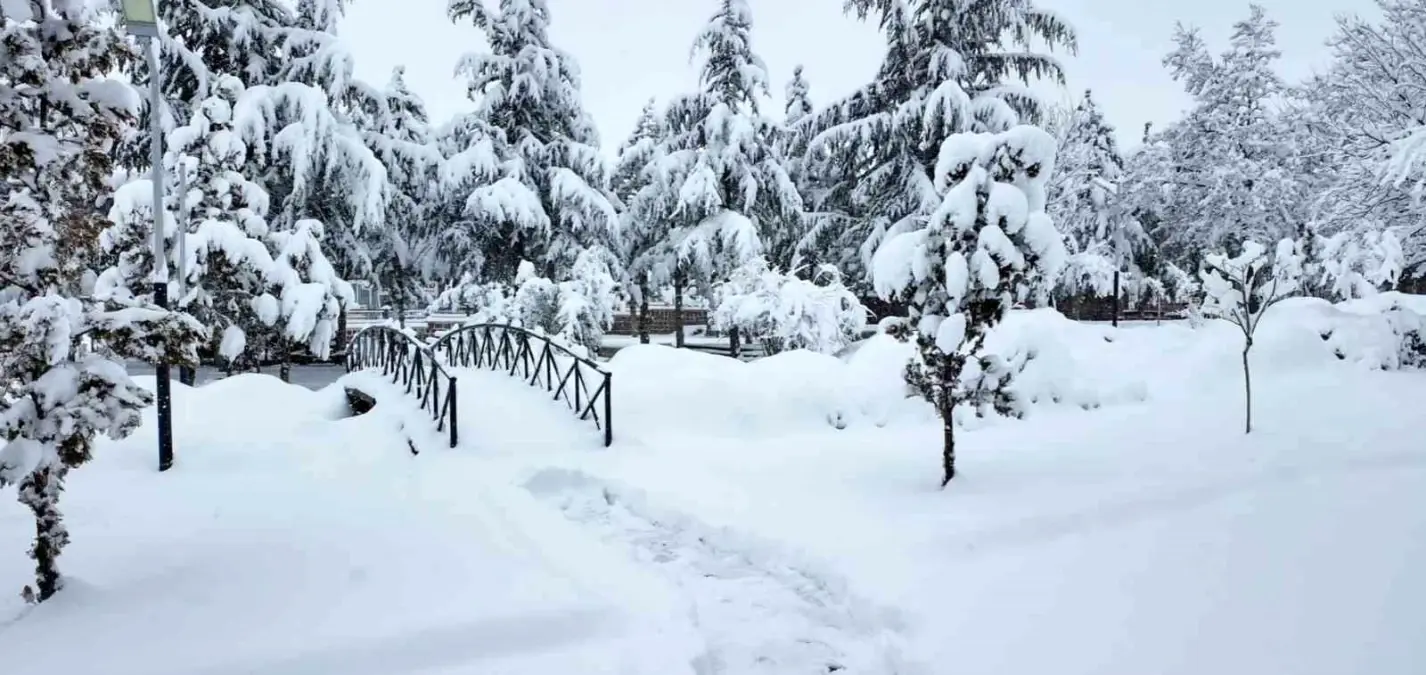 Hacılar Belediyesi ekipleri karla mücadele için sahada
