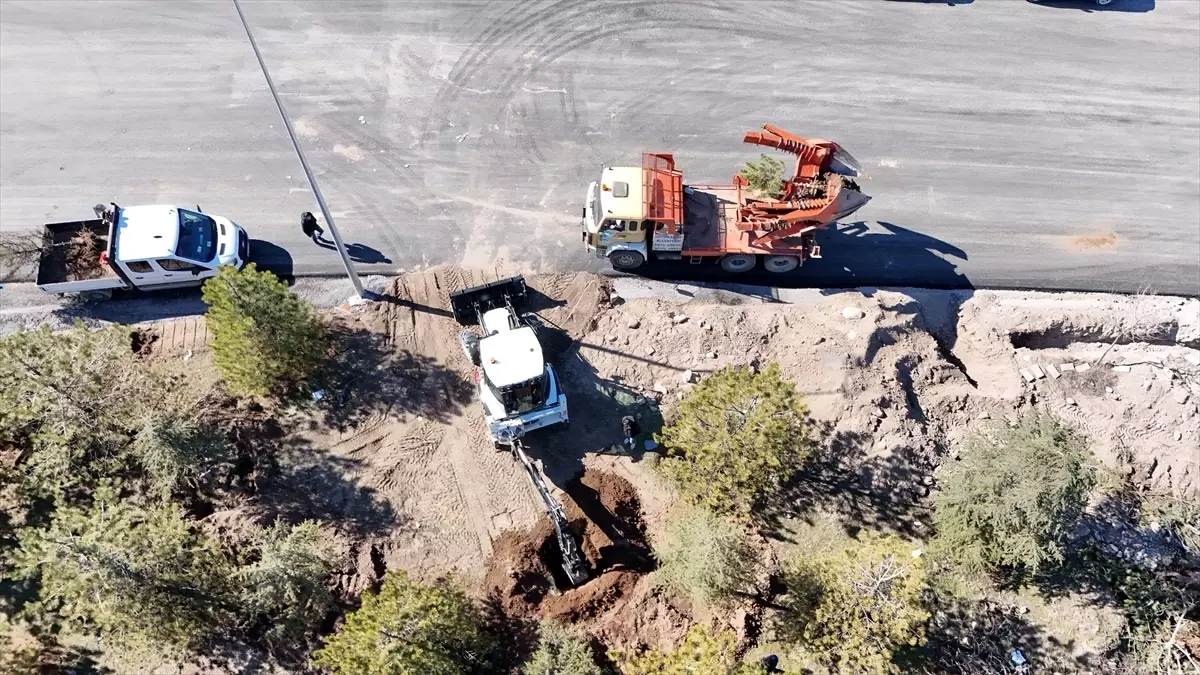 Kayseri'de Ağaçlar Koruma Altında