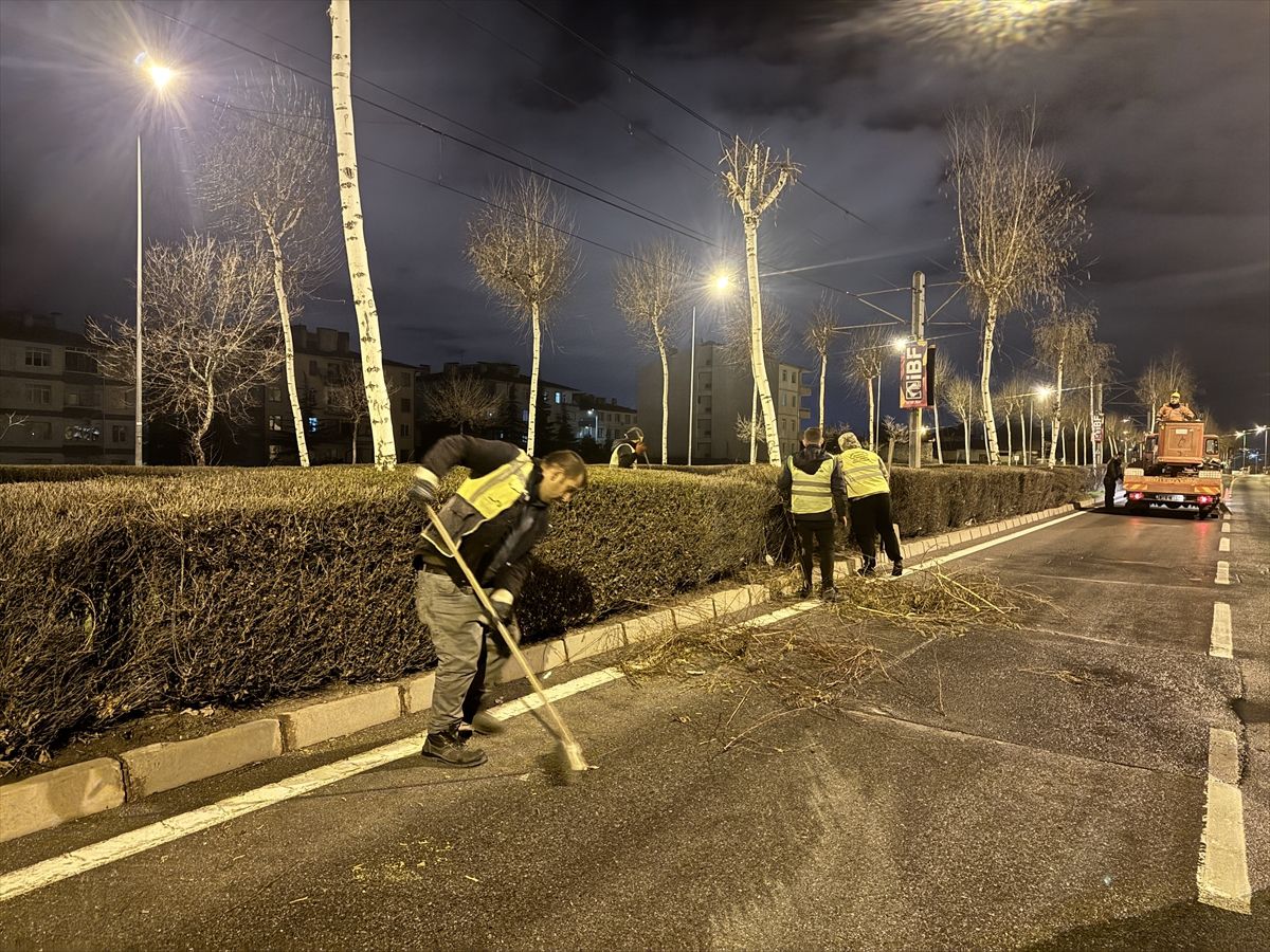 Kayseri'de Ağaç Budama Çalışmaları